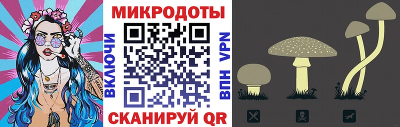 Галлюциногенные грибы MAGIC MUSHROOMS  Белинский 